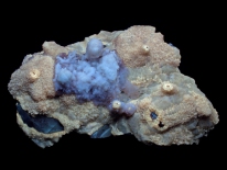 Calcite, aragonite - Terlingua, Texas (midrange UV)