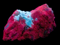 Fluorapatite, fl. blue white, albite, fl. red, E.Pitcairn, NY 5-97 (shortwave UV)