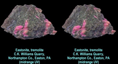 Eastonite w/tremolite, C.K. Williams Quarry,Northampton County, Easton, PA, midrange UV