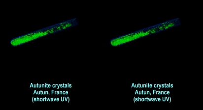 Autunite crystals - Autun, France (shortwave UV)