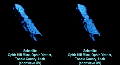 Scheelite, Ophir Hill Mine, Ophir District, Tooele County, Utah  (shortwave UV)